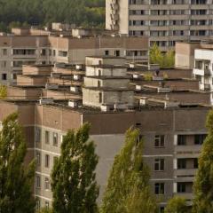 IMG 8860