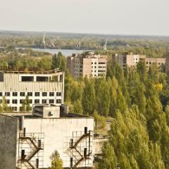 IMG 8868