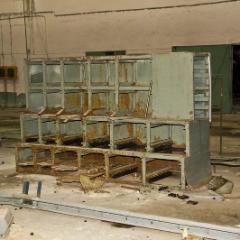IMG 8985