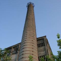 IMG 1269