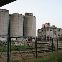 IMG 1363