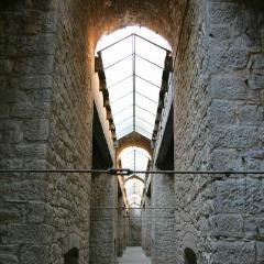 IMG 1365