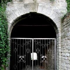 IMG 1414