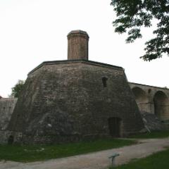 IMG 1419