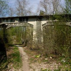PICT0732