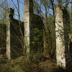 PICT0736