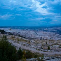 IMG 9264
