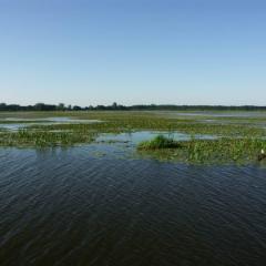 Kanal 02