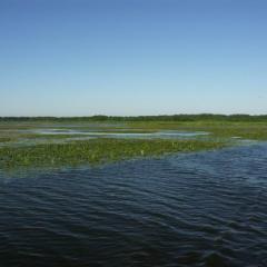 Kanal 03
