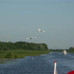Kanal 06