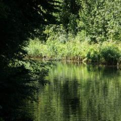 Kanal 30
