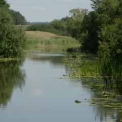 Kanal 49