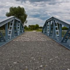 IMG 9655