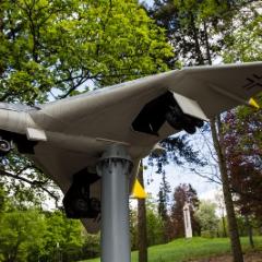IMG 2107
