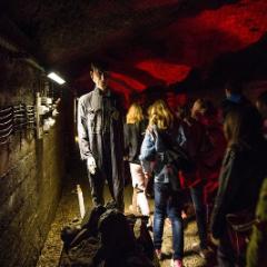 IMG 2136