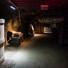 IMG 2166