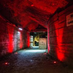 IMG 2168