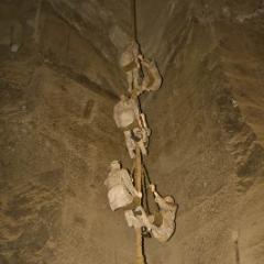 IMG 2574